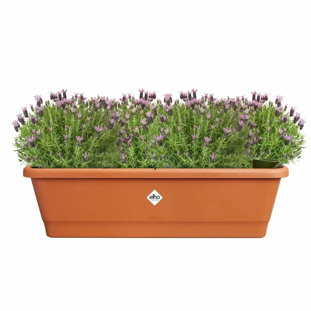 Elho Pot rectangulaire - 65 x 20 x 18 cm - Marron